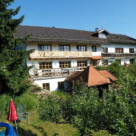 Pension Landhaus Riedelstein Drachselsried Zewnętrze zdjęcie