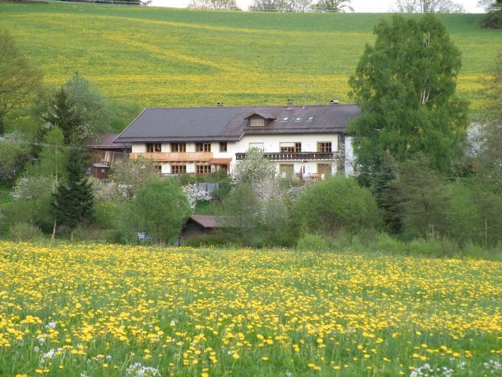 Pension Landhaus Riedelstein Drachselsried Zewnętrze zdjęcie