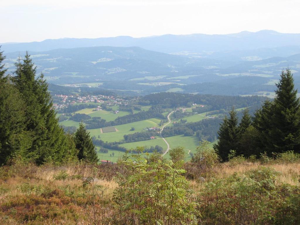 Pension Landhaus Riedelstein Drachselsried Zewnętrze zdjęcie