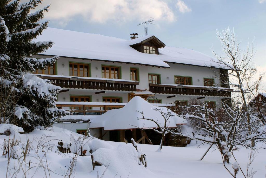 Pension Landhaus Riedelstein Drachselsried Zewnętrze zdjęcie